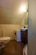 koupelna apartmánu se sprchovým koutem, umyvadlem, WC a pračkou