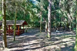 k chatě Liptovský Ján náleží soukromý les 