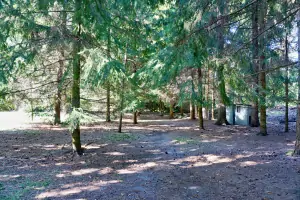 soukromý les chaty Liptovský Ján